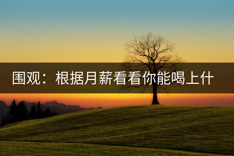 圍觀：根據(jù)月薪看看你能喝上什么茶？