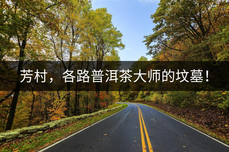 芳村，各路普洱茶大師的墳墓！