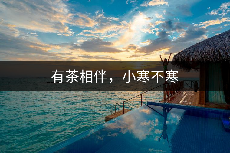 有茶相伴，小寒不寒