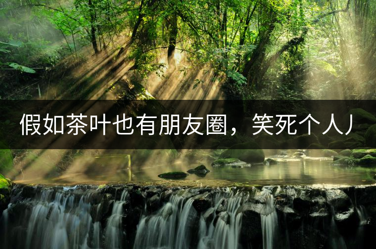 假如茶葉也有朋友圈，笑死個人兒...