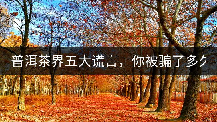 普洱茶界五大謊言，你被騙了多久？