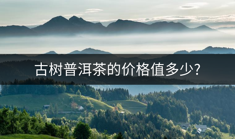 古樹普洱茶的價(jià)格值多少? 古樹普洱茶的價(jià)格值多少?