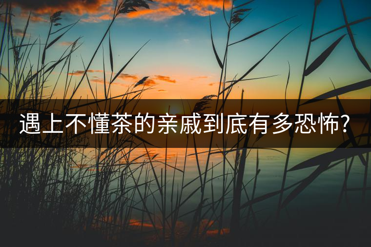遇上不懂茶的親戚到底有多恐怖?千萬別用喝茶來考驗(yàn)?zāi)愕挠H情! 遇上不懂茶的親戚到底有多恐怖?千萬別用喝茶來考驗(yàn)?zāi)愕挠H情!