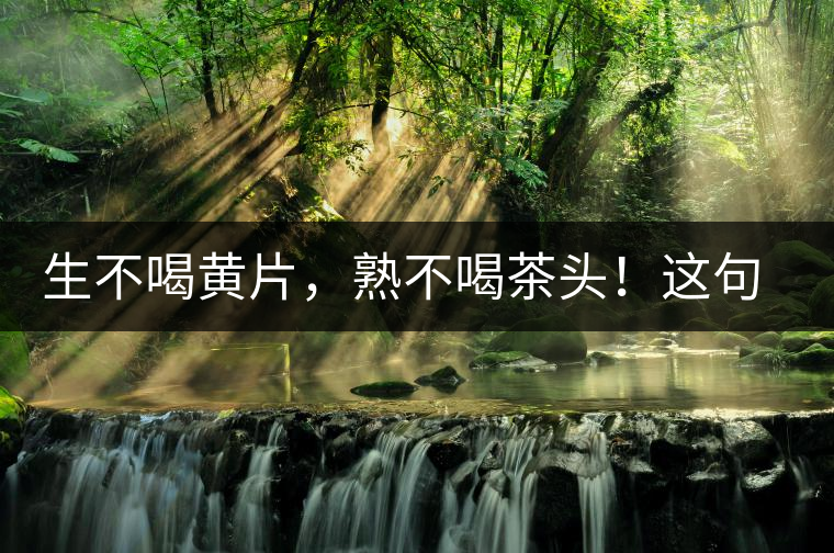 生不喝黃片，熟不喝茶頭！這句話你了解多少？