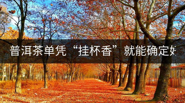 普洱茶單憑“掛杯香”就能確定好壞？you錯(cuò)了！