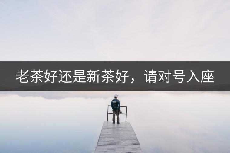 老茶好還是新茶好，請對號(hào)入座