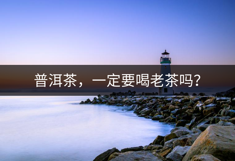 普洱茶，一定要喝老茶嗎？