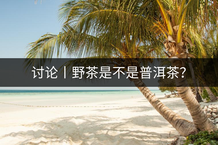 討論丨野茶是不是普洱茶？