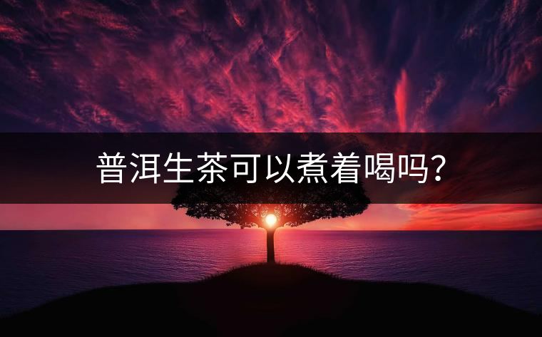 普洱生茶可以煮著喝嗎？