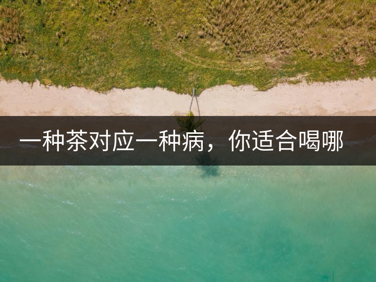 一種茶對應(yīng)一種病，你適合喝哪一種呢？
