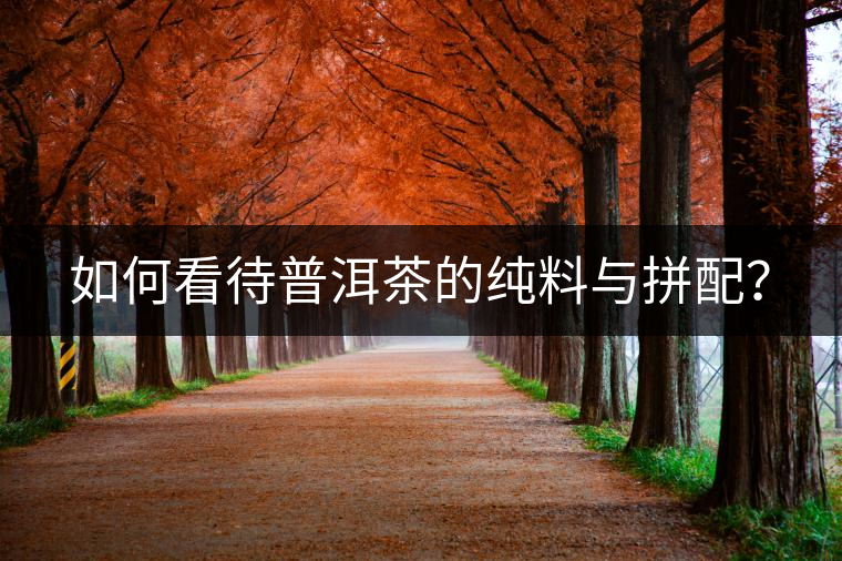 如何看待普洱茶的純料與拼配？