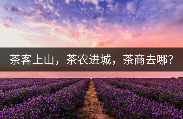茶客上山，茶農(nóng)進(jìn)城，茶商去哪？