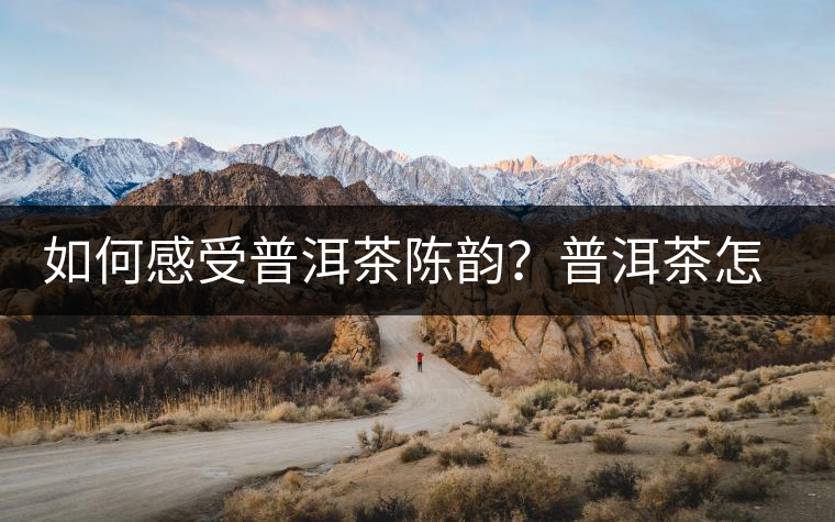 如何感受普洱茶陳韻？普洱茶怎么喝？