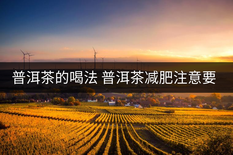 普洱茶的喝法 普洱茶減肥注意要點(diǎn) 普洱茶的喝法 普洱茶減肥注意要點(diǎn)