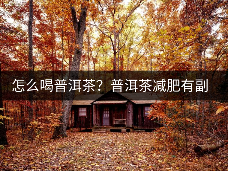 怎么喝普洱茶？普洱茶減肥有副作用嗎？