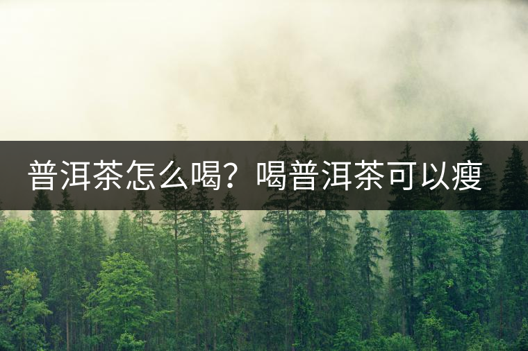 普洱茶怎么喝？喝普洱茶可以瘦腹嗎？