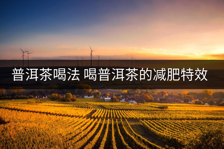 普洱茶喝法 喝普洱茶的減肥特效是什么呢？