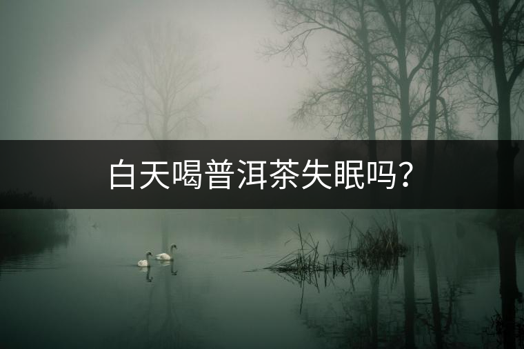 白天喝普洱茶失眠嗎？