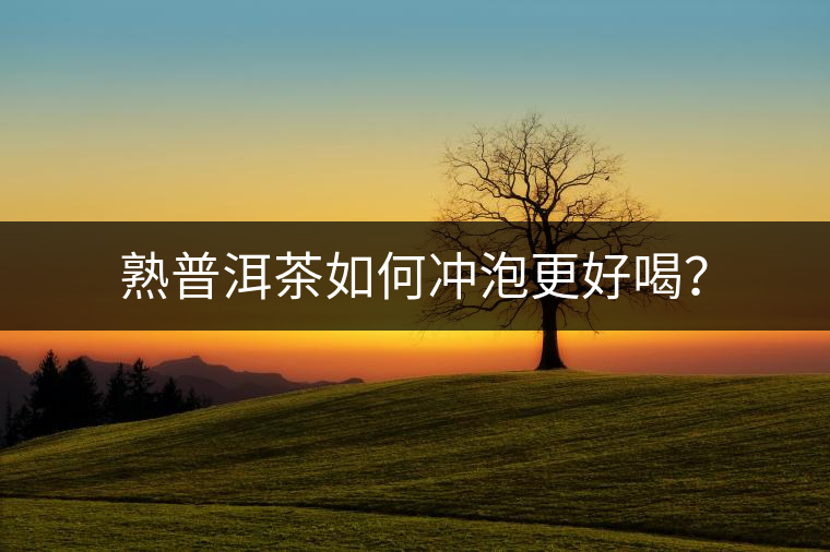 熟普洱茶如何沖泡更好喝？