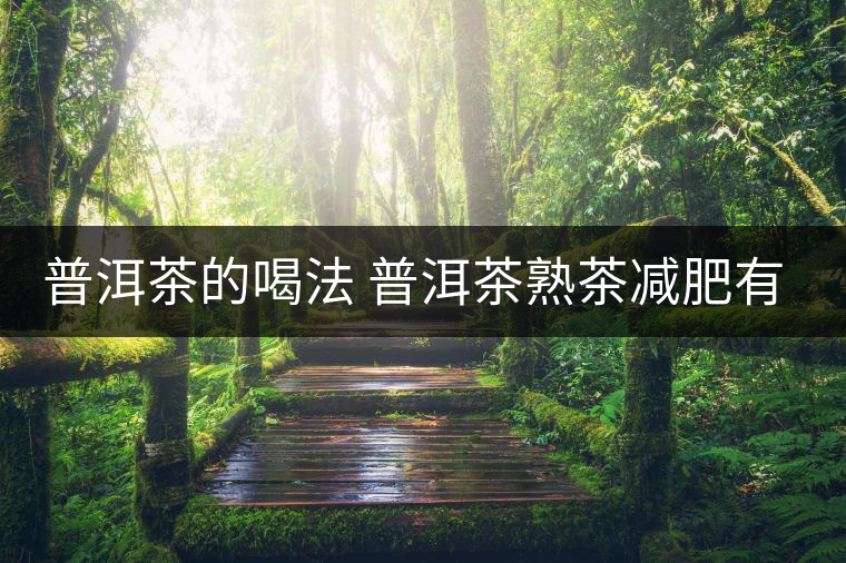 普洱茶的喝法 普洱茶熟茶減肥有什么效果嗎？