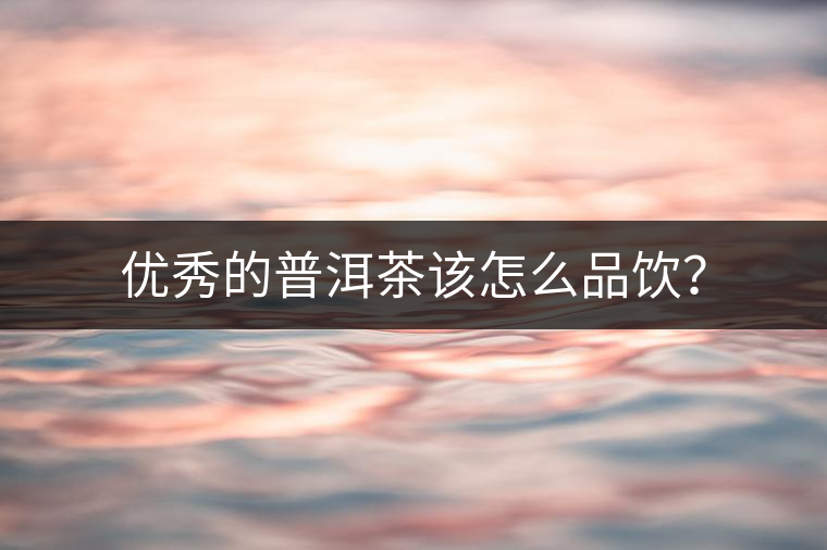 優(yōu)秀的普洱茶該怎么品飲？