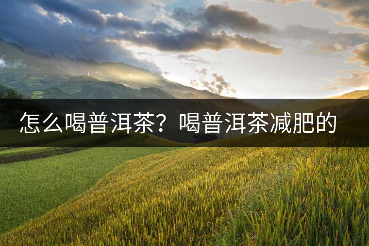 怎么喝普洱茶？喝普洱茶減肥的注意事項