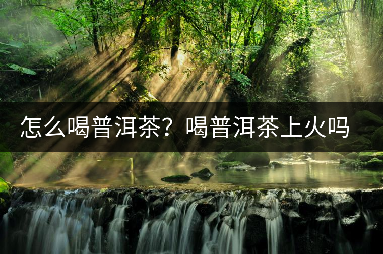 怎么喝普洱茶？喝普洱茶上火嗎？喝普洱茶會(huì)不會(huì)上火？