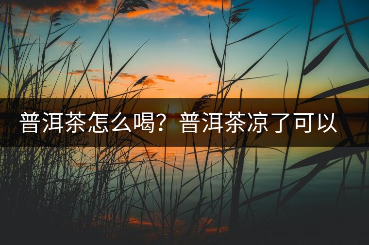 普洱茶怎么喝？普洱茶涼了可以喝嗎？