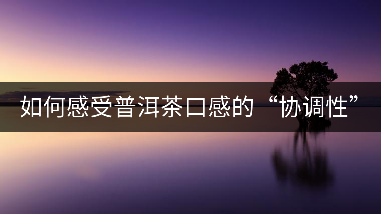 如何感受普洱茶口感的“協(xié)調(diào)性”？