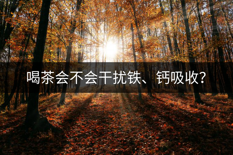 喝茶會(huì)不會(huì)干擾鐵、鈣吸收？