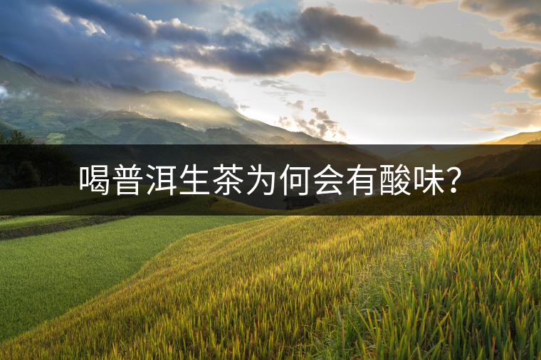 喝普洱生茶為何會(huì)有酸味？