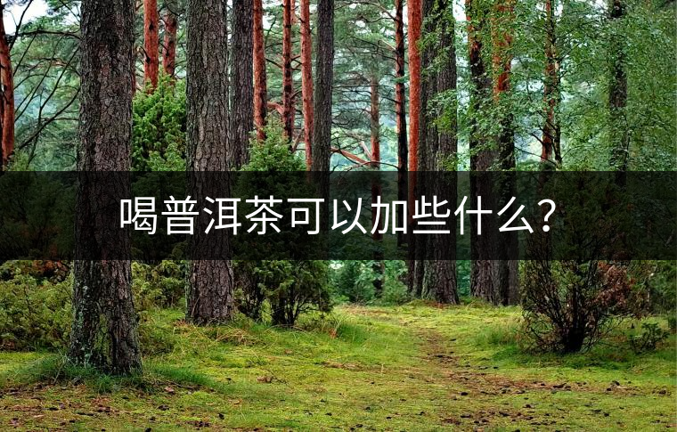 喝普洱茶可以加些什么？