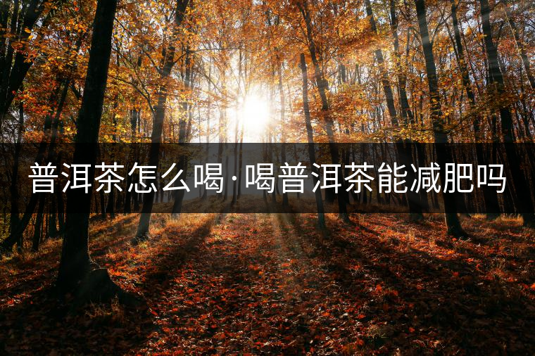 普洱茶怎么喝·喝普洱茶能減肥嗎？