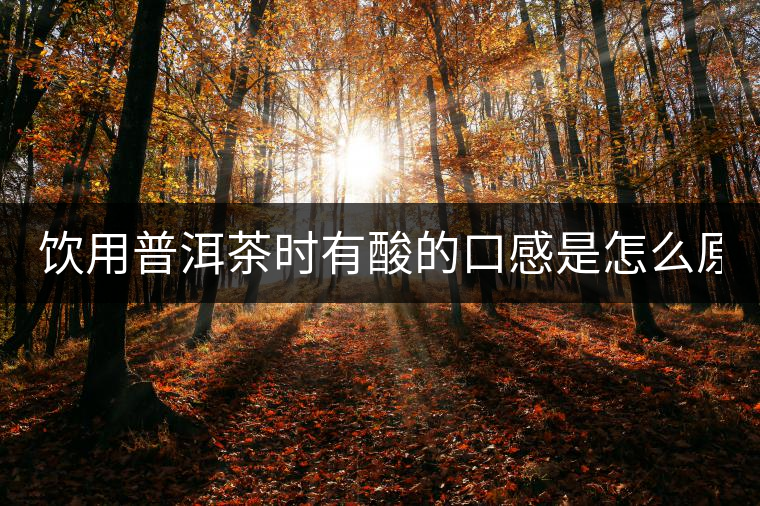 飲用普洱茶時有酸的口感是怎么原因？