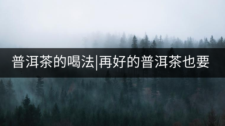 普洱茶的喝法|再好的普洱茶也要用水來詮釋