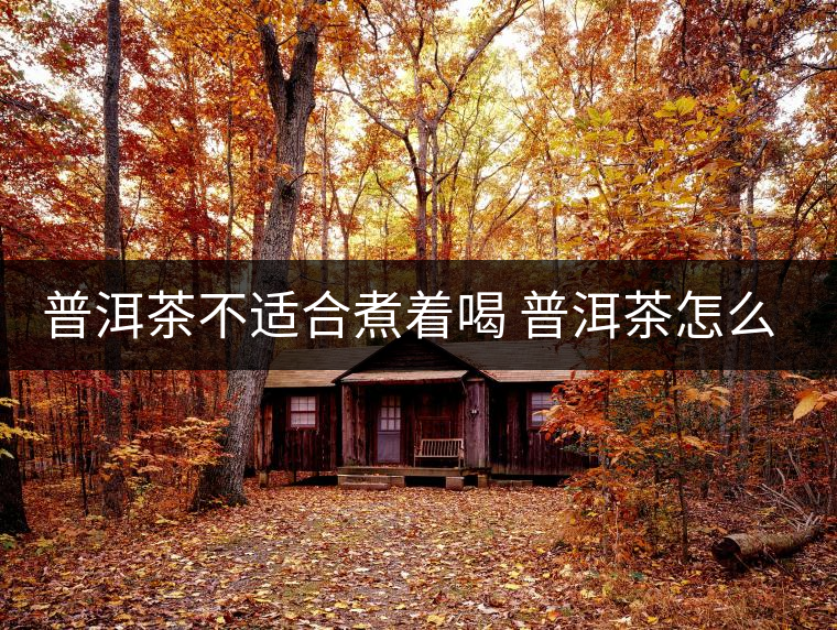 普洱茶不適合煮著喝 普洱茶怎么喝？