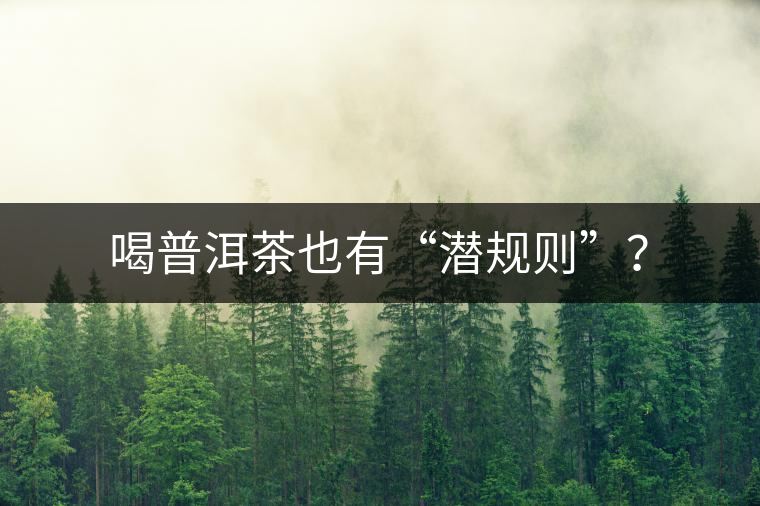 喝普洱茶也有“潛規(guī)則”？