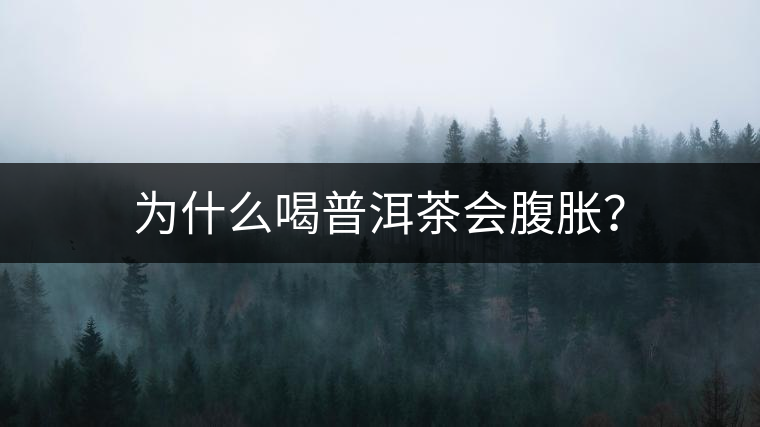 為什么喝普洱茶會(huì)腹脹？