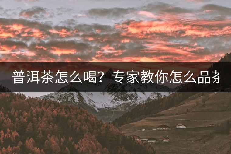 普洱茶怎么喝？專家教你怎么品茶？