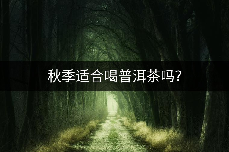 秋季適合喝普洱茶嗎？