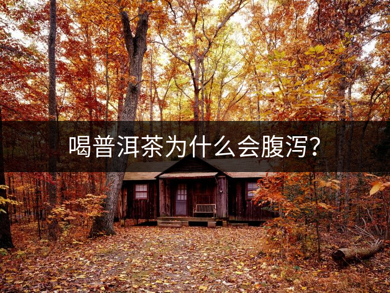 喝普洱茶為什么會腹瀉？