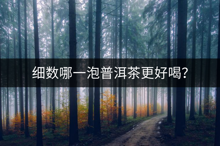細數(shù)哪一泡普洱茶更好喝？