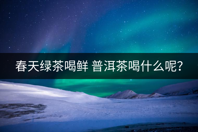 春天綠茶喝鮮 普洱茶喝什么呢？