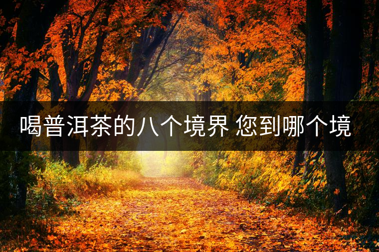 喝普洱茶的八個(gè)境界 您到哪個(gè)境界了？