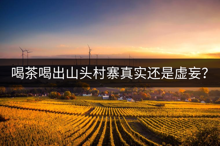 喝茶喝出山頭村寨真實還是虛妄？