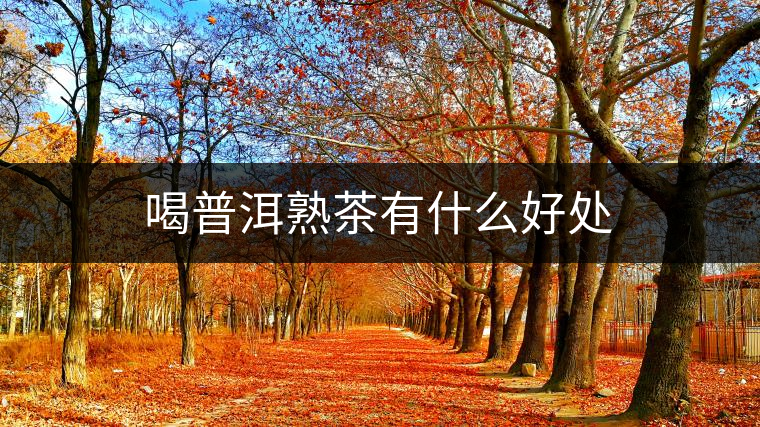 喝普洱熟茶有什么好處 喝普洱熟茶有什么好處