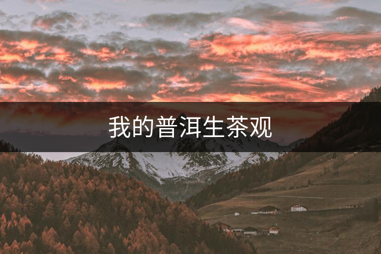 我的普洱生茶觀