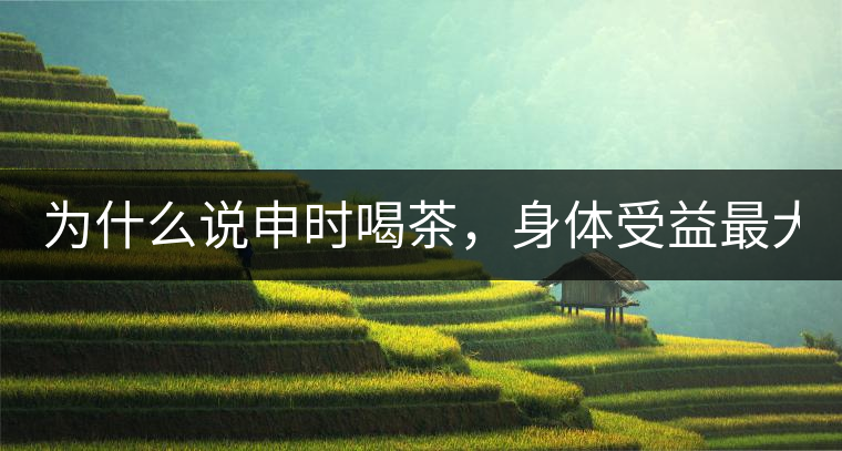 為什么說申時(shí)喝茶，身體受益最大？