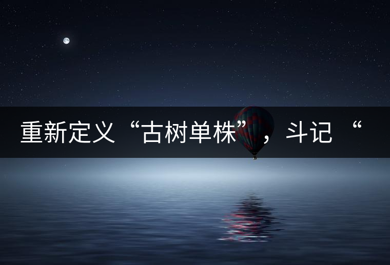 重新定義“古樹單株”，斗記 “超級(jí)審評(píng)”有償招募告罄在即！