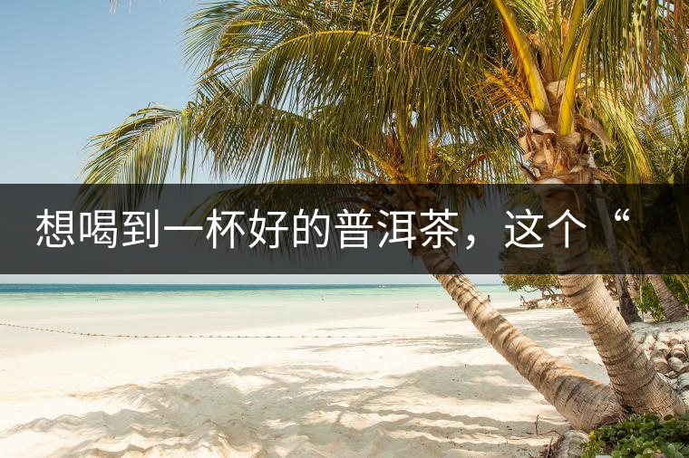 想喝到一杯好的普洱茶，這個(gè)“醒茶”步驟很關(guān)鍵